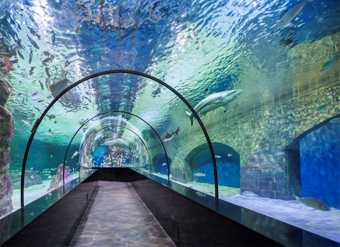 Aqua Vega AquariumАнкара