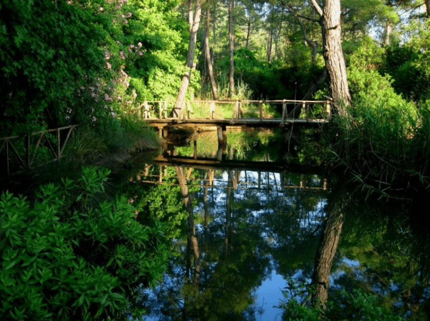 Milli Parki Мармарис