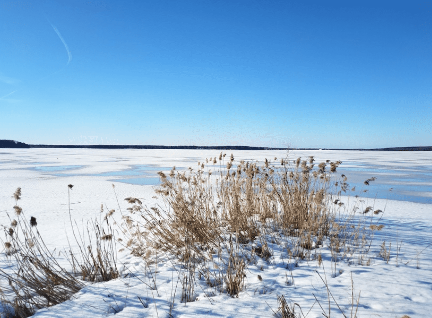 Солнечногорск