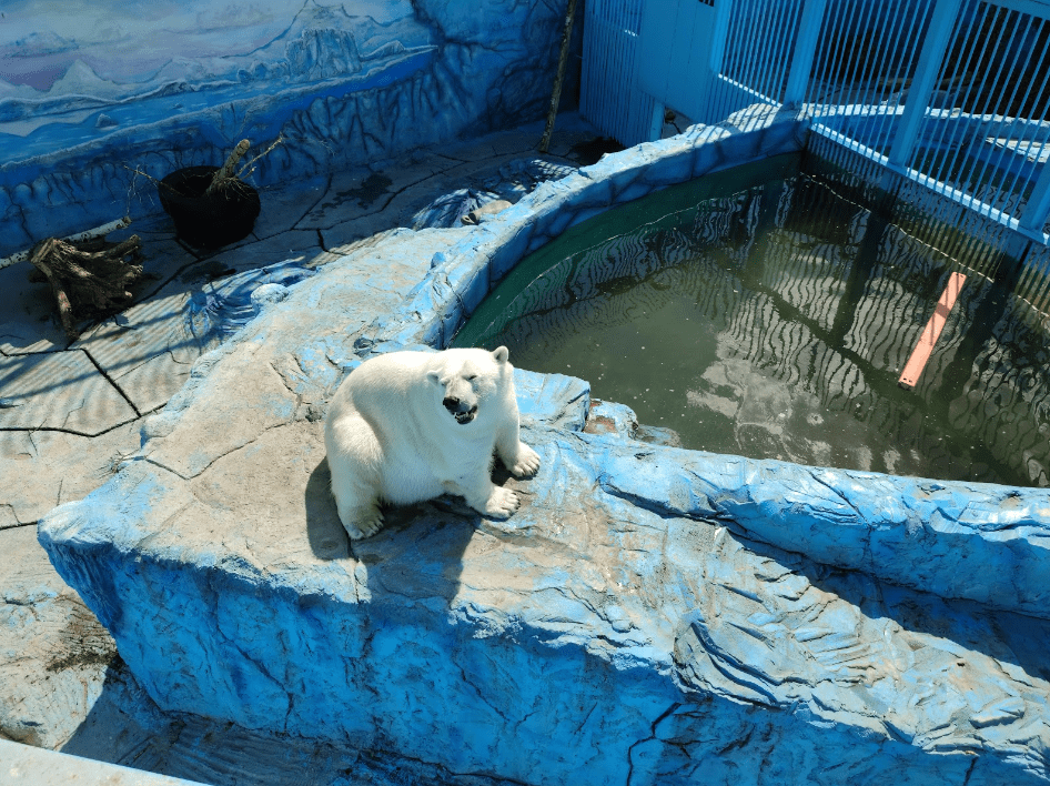 Екатеринбургский Зоопарк